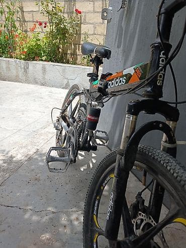 wolf bicycle: Dağ/şosse üçün universal velosiped - Brend nişanları: Adidas temalı — 4