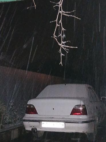 kokəltmə yemi: Ağ rəngli iki göyərçin cütü - Növ: ev göyərçini (ağ rəngli, biri — 3