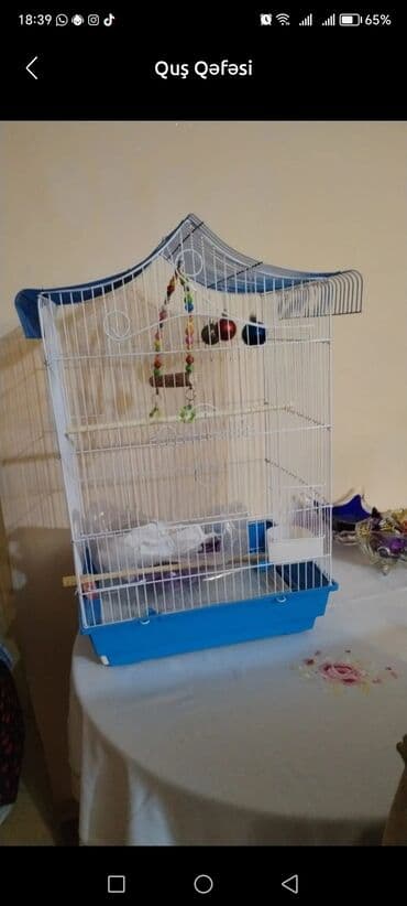 taxta qəfəs: Quş qəfəsi - Material: ağ rəngli metal barmaqlıqlar, mavi rəngli — 1