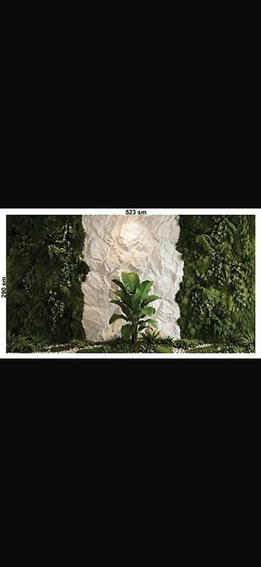 ev bitkisi: Yaşıl divar (vertical bağ) və dekorativ daş panel kompozisiyası — 1