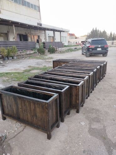 bitkiler: Dibçək güldanlar. Dipçəklər bir başa sexdən.Sex qiymətinə. ♦️Endrim — 2