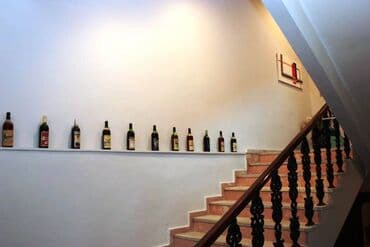 baki hovuzlu evler: 5 otaqlı, 800 kv. m, Yeni təmirli — 14