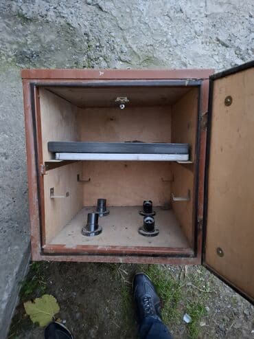 Pişiklər: Inqbator — 3