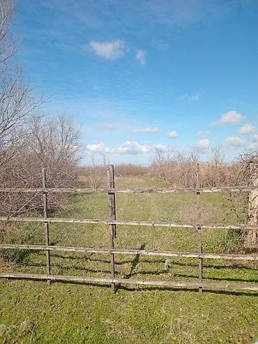 90 sot, Kənd təsərrüfatı, Mülkiyyətçi, Kupça (Çıxarış)