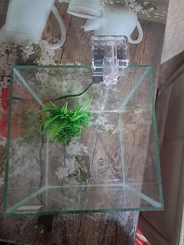 Dördbucaq akvarium, Boş, 10 l, Ünvandan götürmə — 1