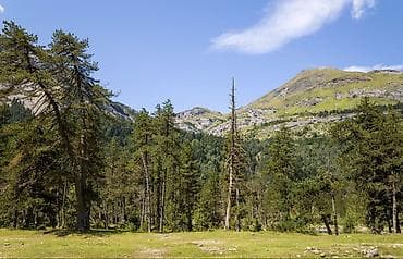 Şabran rayonu, Pirəbədil kəndi ərazisində, dağ ətəyində, kənd