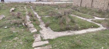 xirdalan mehdi huseynzade: 3 sot, Kənd təsərrüfatı, Mülkiyyətçi, Kupça (Çıxarış) — 1