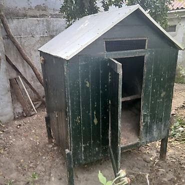 hamster yuvası: Taxta toyuq hinı / quş evi - Material: qalın taxta panellər, möhkəm — 1