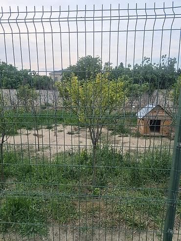 nar bagi: 3 sot, Tikinti, Mülkiyyətçi, Texniki pasport, Kupça (Çıxarış) — 5