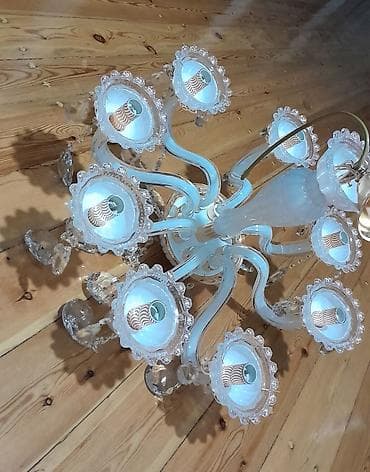 dekorativ bitkiler adlari: Çılçıraq, 10 və daha çox lampa, Şüşə — 1