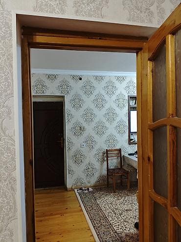 budda: Şüşəli taxta otaq qapısı - Material: təbii ağac (şam ağacı teksturası — 3