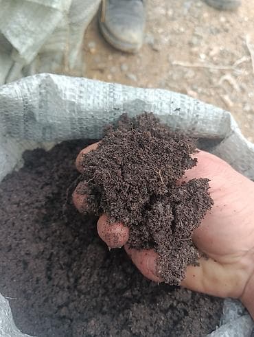 Balaken torfu narin kefietli tebbi bitgilerçin heyatdir qiymetde