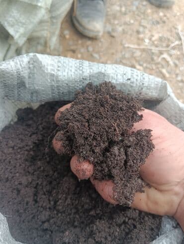 yonca toxum: Torflarin satişi balaken ekolay kkokavit 250litrlik xaricden gelen — 15