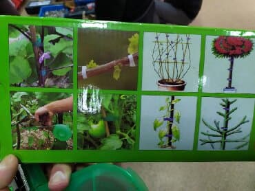 uzum ağacı: Çox keyfiyyətli qayçı meselem salanan üzüm ağaclarını en asanlıqla — 2