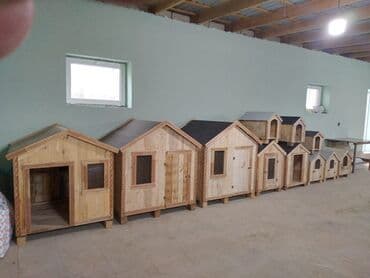 Akvariumlar: Taxta it evləri yeni yığılıb qiymət 45 dən başlayır — 1