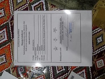 sabunçu: 3 sot, Mülkiyyətçi, Bələdiyyə, Müqavilə — 2