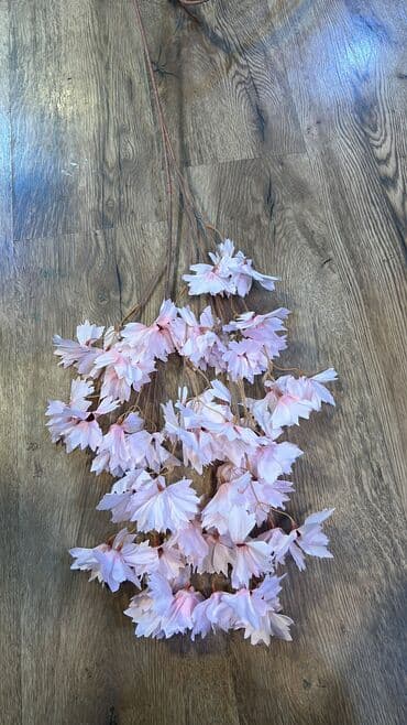 марал гель кыргызстан: 7 man baslayan qiymetler Depodan bir basa satis Mehsulkari olkeye — 7