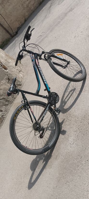 Bilərziklər: Velosiped 26 lıqdır problemləri deyiləcək endirim olacaq və çatdırılma — 7