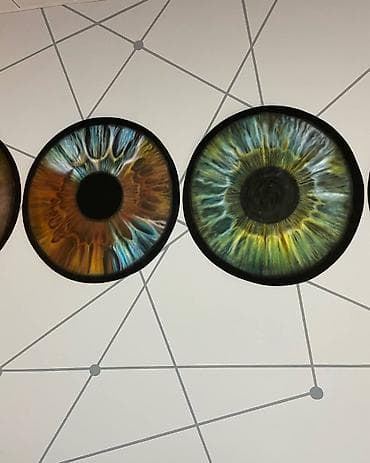 Tekstil: Divar rəsimlərinin çəkilməsi🎨 Qiymət rəsmə və onun ölçüsünə uyğun — 3