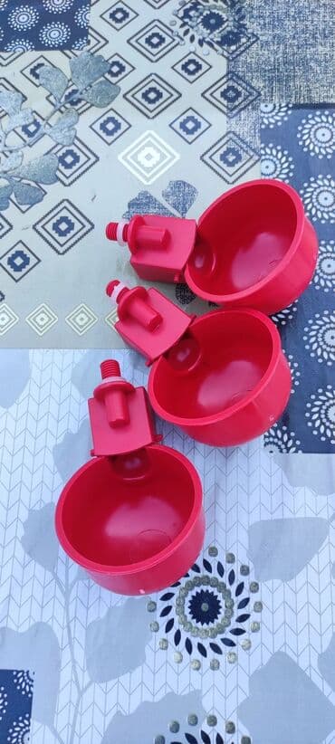 su tərəzisi: Bu su qabları toyuq cücə ördək üçün əla vasitədir su həm təmiz qalır — 3