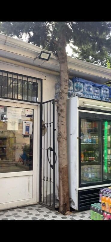 магазин рядом со мной: Təcili satılır! Gənclik metrosunun yaxınlığında yerləşən, tam işlək və — 20
