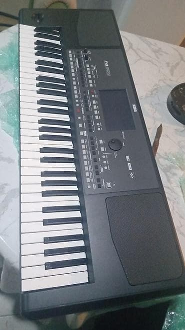 korgoz: Sintezator, Korg, Yeni — 3
