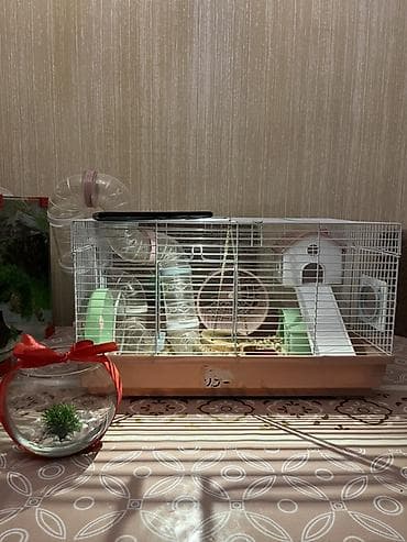 ordək bala: Xamyaq qəfəsin alana 4xamyaq+yumru akvaroum+daşı dekoru+3 danio balığl — 4