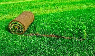 su motor: Qazonun satışı çatdırılması, qazonun düzülməsi, əgər bağınızda — 1