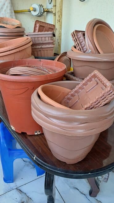 Digər bitkilər: 50eded.hamsi 20 azn — 7