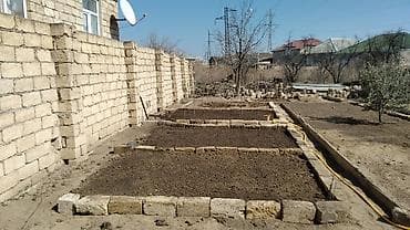 Bağ sahəsi – tərəvəz və meyvə əkini üçün baglarin belenmesi selqeye