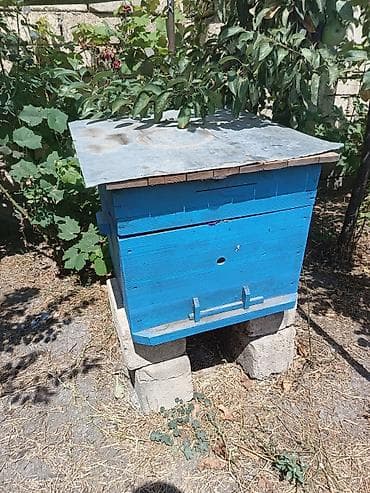 heyvan oyuncaqlari: Arıçılıq üçün taxta pətək korpusları - Material: qalın taxta — 7