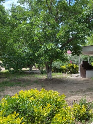 xoçəsən: 17 sot, Tikinti, Mülkiyyətçi, Bələdiyyə — 3