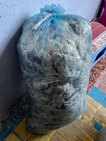 Təbii qoyun yunu – böyük kisədə 1 kilosu- 5 Azn - Tərkib: təbii lalafo.az -da Təbii qoyun yunu – böyük kisədə 1 kilosu- 5 Azn - Tərkib: təbii