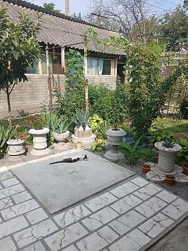 ev almaq baki: Həyət evi – Şəki şəhəri Əsas yolun kənarında, avtobus dayanacağının — 9