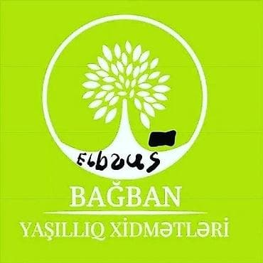 Ландшафтные работы: Bağban Yaşıllıq Xidmətləri – landşaft dizaynı və yaşıllaşdırma — 2