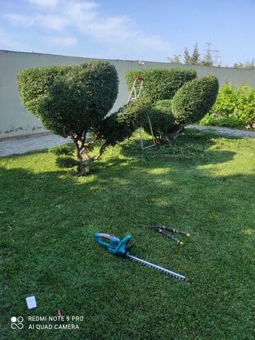 ağ dırnaq modelleri: Landşaft dizayin ummi abadliq qazon agaclar gul ciceklerlə bağlarin — 16