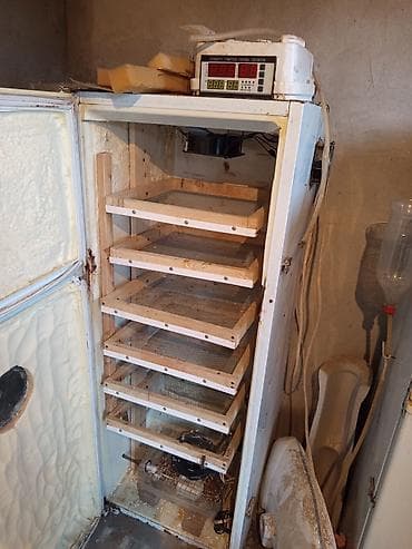 Kənd təssərüfatı avadanlığı: Bütün növ quşlaq üçün — 3