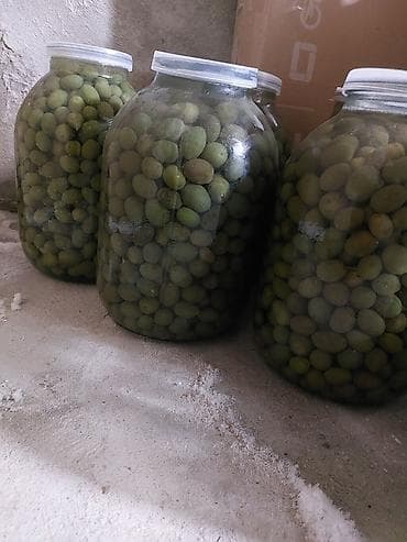 Təbii duzlu suda hazırlanmış yaşıl zeytun turşusu. - Böyük şüşə