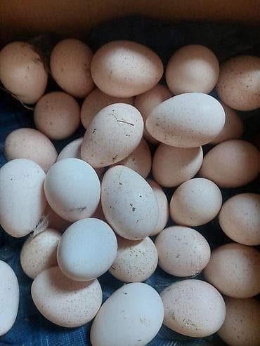 heyratı yumurta: Təbii kənd yumurtası - Tərkib: sərbəst gəzən toyuqlardan toplanmış — 2