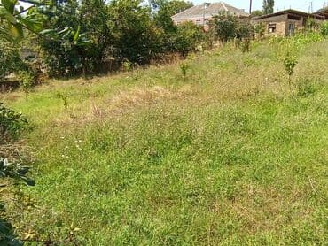 xacmazda torpaq satilir: 6 sot — 7