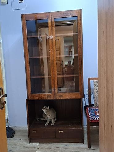 Şüşəli dolab vitrini