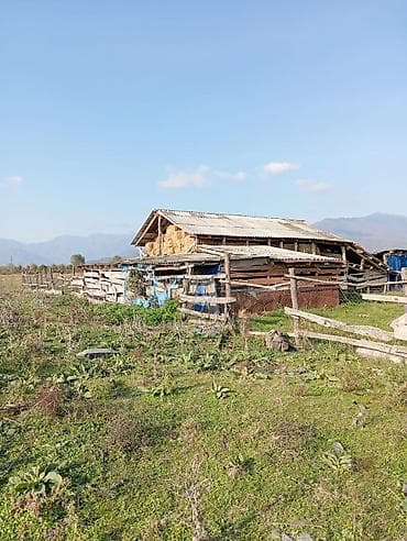 evlər: Həyətyanı torpaq sahəsi olan 1 mərtəbəli kənd evi 12 sot heyetyani — 7
