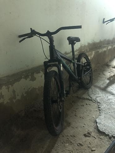 wolf velosiped: İki təkərli Uşaq velosipedi 20" — 2