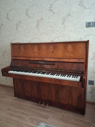 баян музыкальный инструмент: Пианино, Беларусь, Акустический — 1