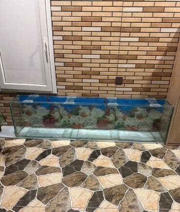 Dördbucaq akvarium, Boş, 350 l, Ünvandan götürmə