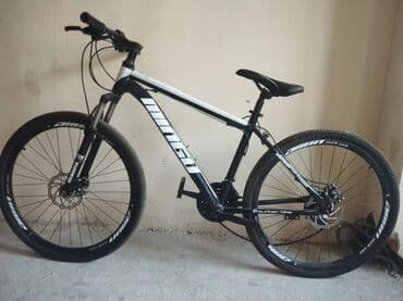 Dağ velosipedi 29"