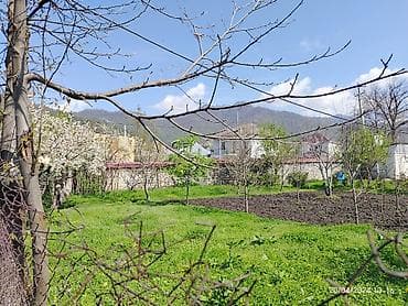 zaqatala telebe evi: 3 sot, Biznes üçün, Mülkiyyətçi, Bələdiyyə — 1