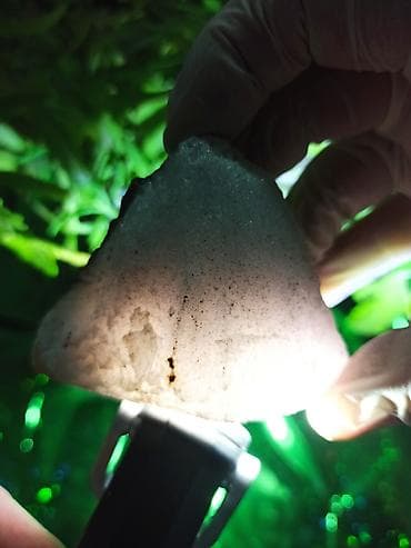 parca camadan: Xam Yaqut + Safir + Nadir Şpinel + Süd Kvarsı ? Flüoresans — 4