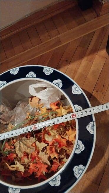 dekorativ yonca: Farfor — 3