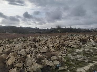 12 sot, Tikinti, Bələdiyyə — 7